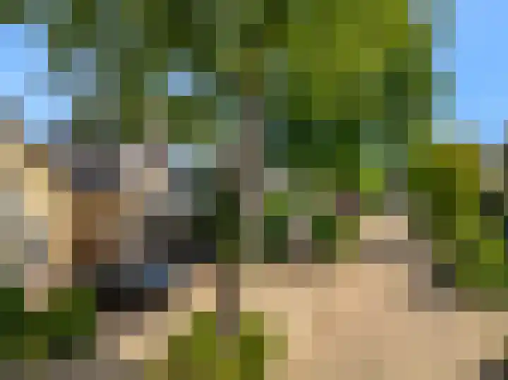 Florijn 5 Hoorn thumbnail 6