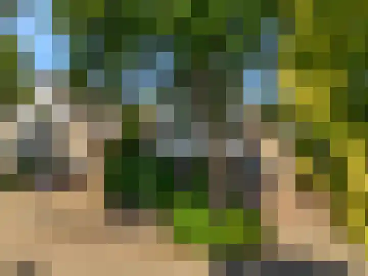 Florijn 5 Hoorn thumbnail 7