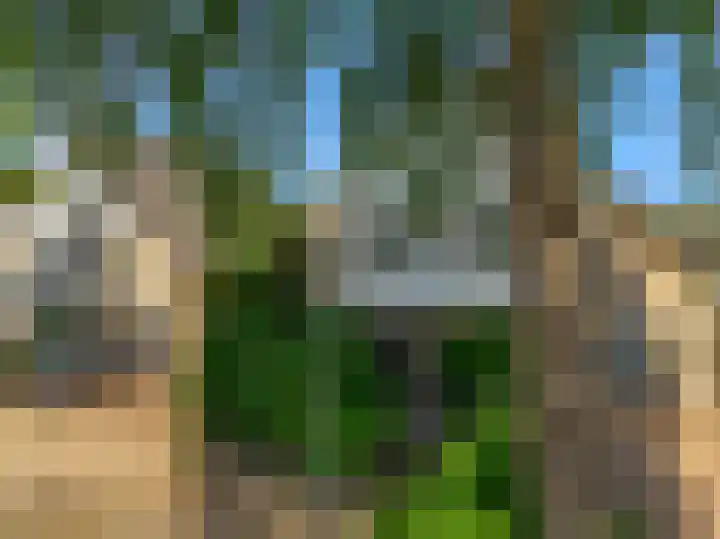 Florijn 5 Hoorn thumbnail 9