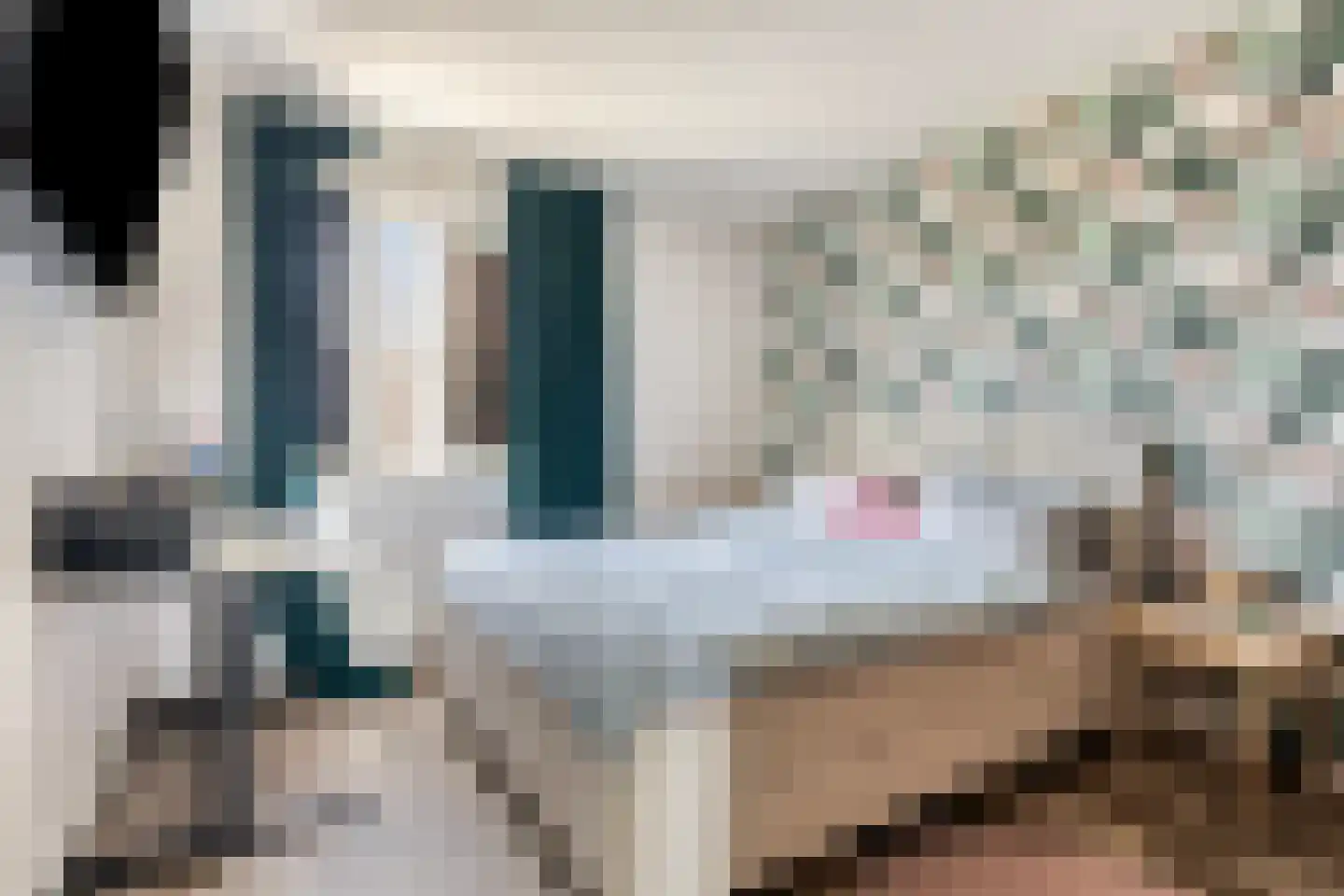 Florijn 5 Zaandam thumbnail 20