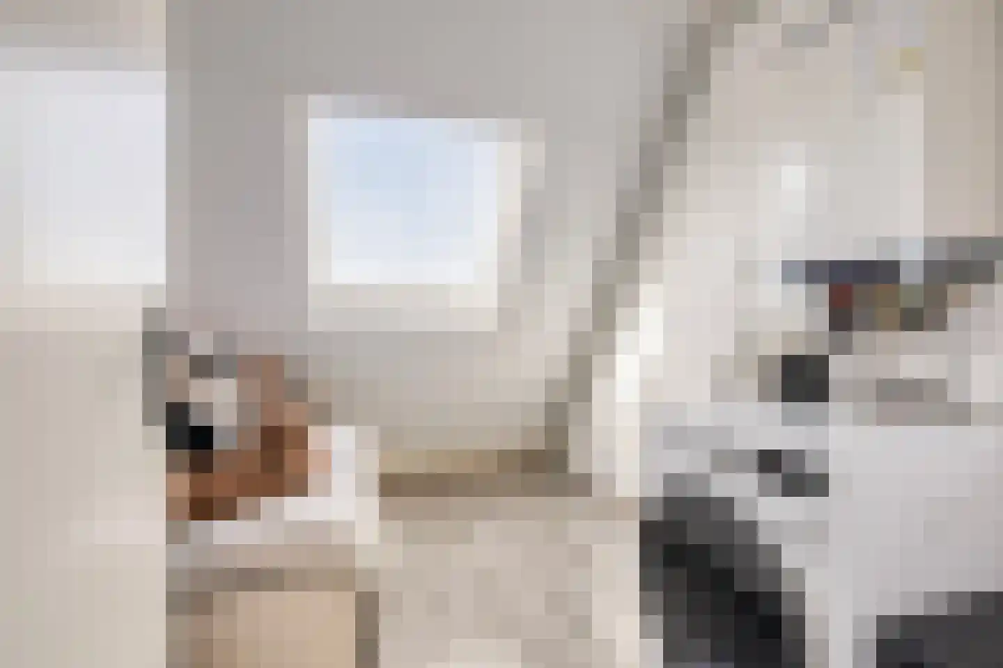 Florijn 5 Zaandam thumbnail 27