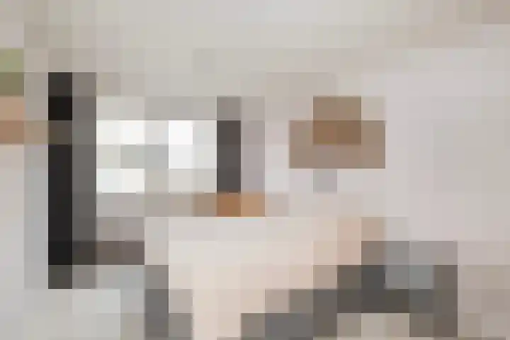 Florijn 56 Dronten thumbnail 13