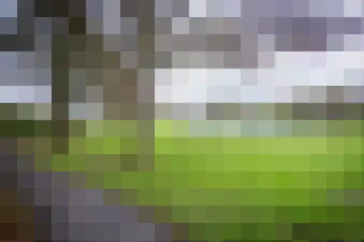 Florijn 57 Hoorn thumbnail 58