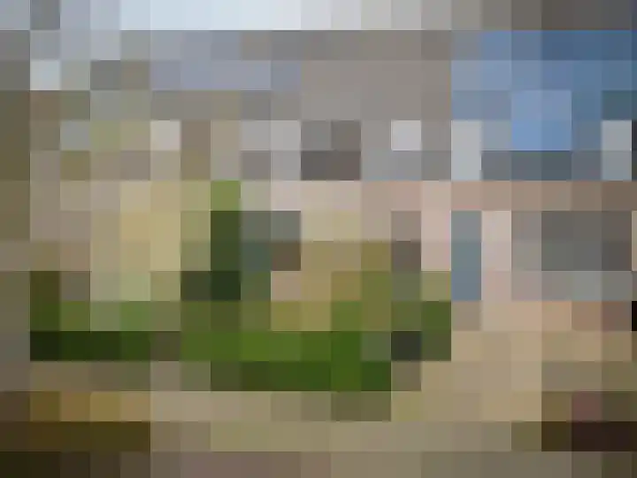 Florijn 57 Hoorn thumbnail 7