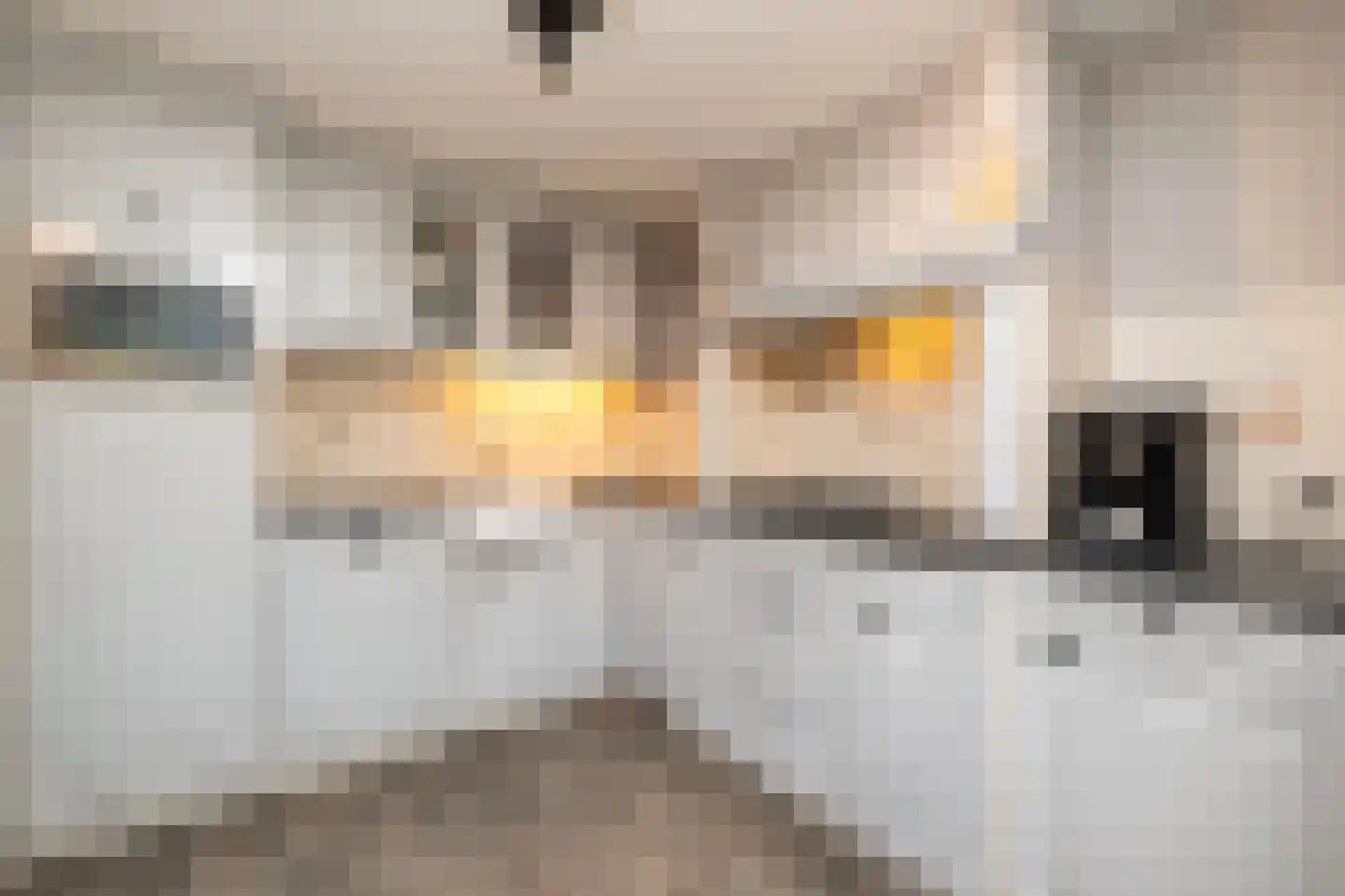 Florijn 62 Dronten thumbnail 15