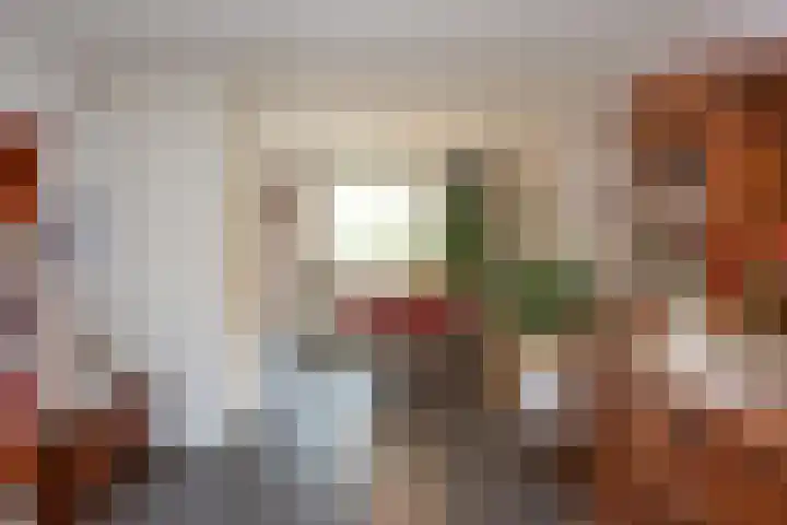 Florijn 70 Dronten thumbnail 13