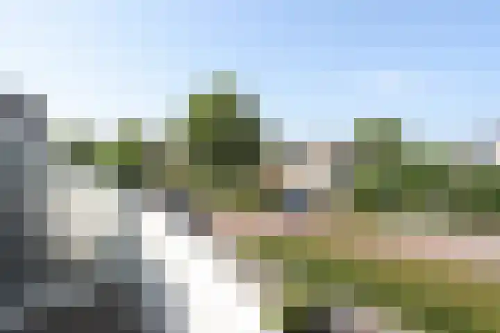 Florijn 70 Dronten thumbnail 22