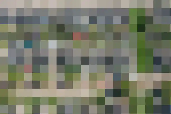 Florijn 70 Dronten thumbnail 38