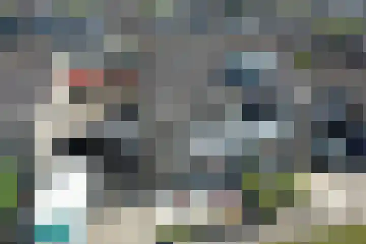 Florijn 70 Dronten thumbnail 5