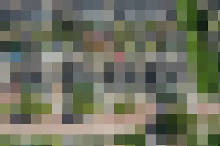 Florijn 70 Dronten thumbnail 7