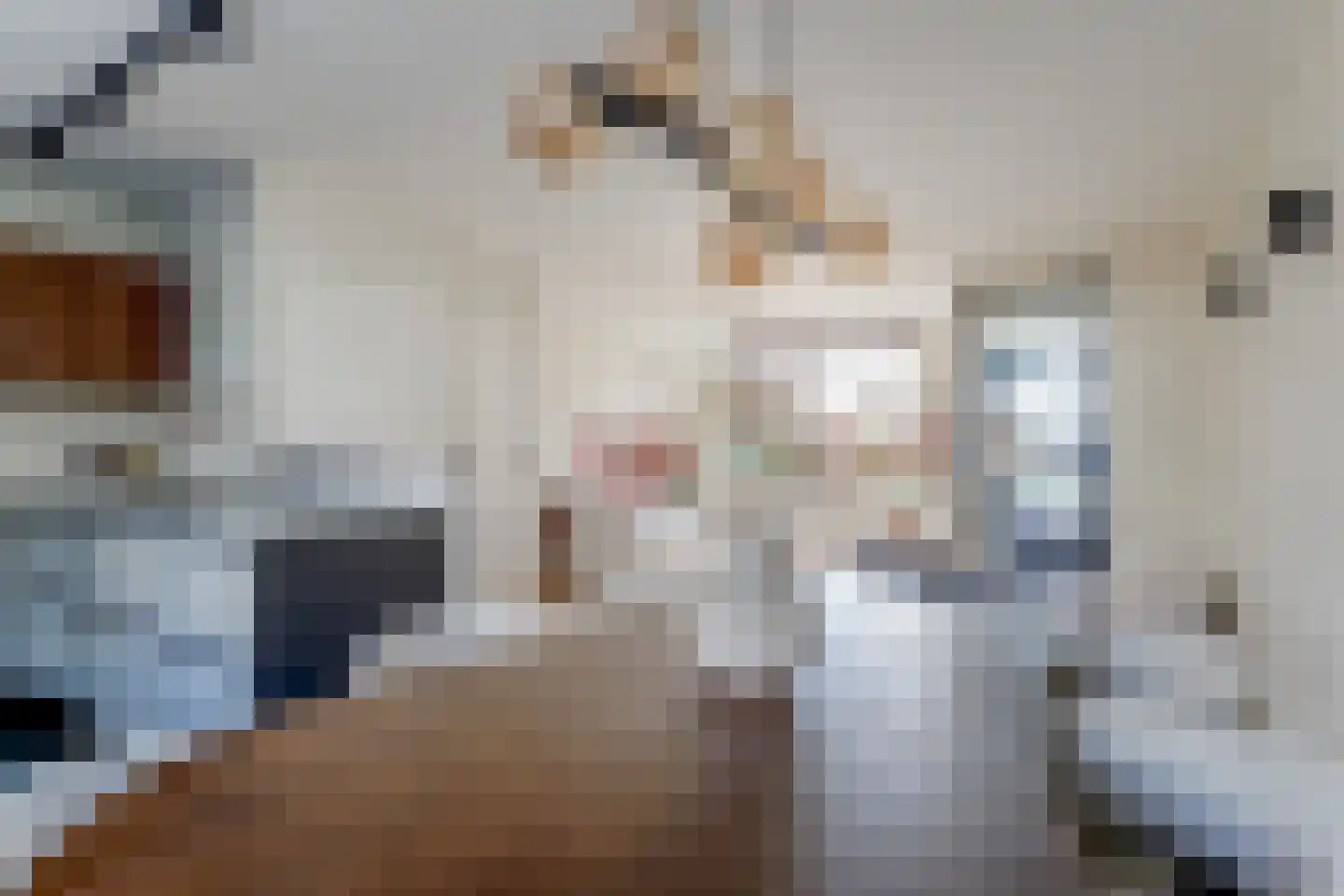 Florijn 86 Hoorn thumbnail 12