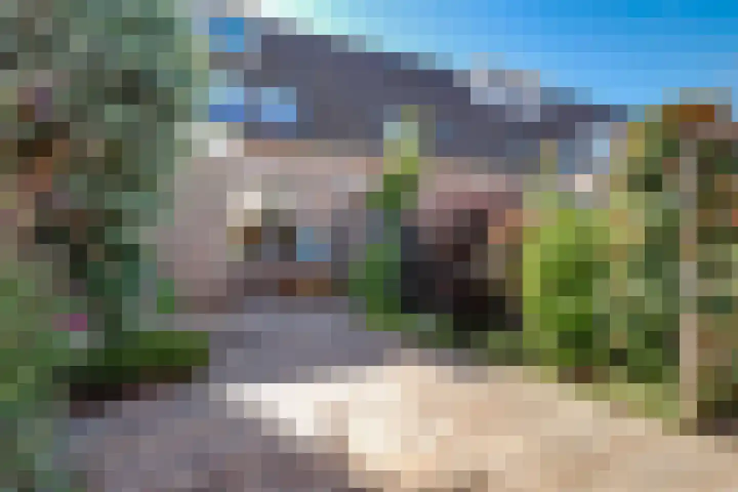 Florijn 86 Hoorn thumbnail 20