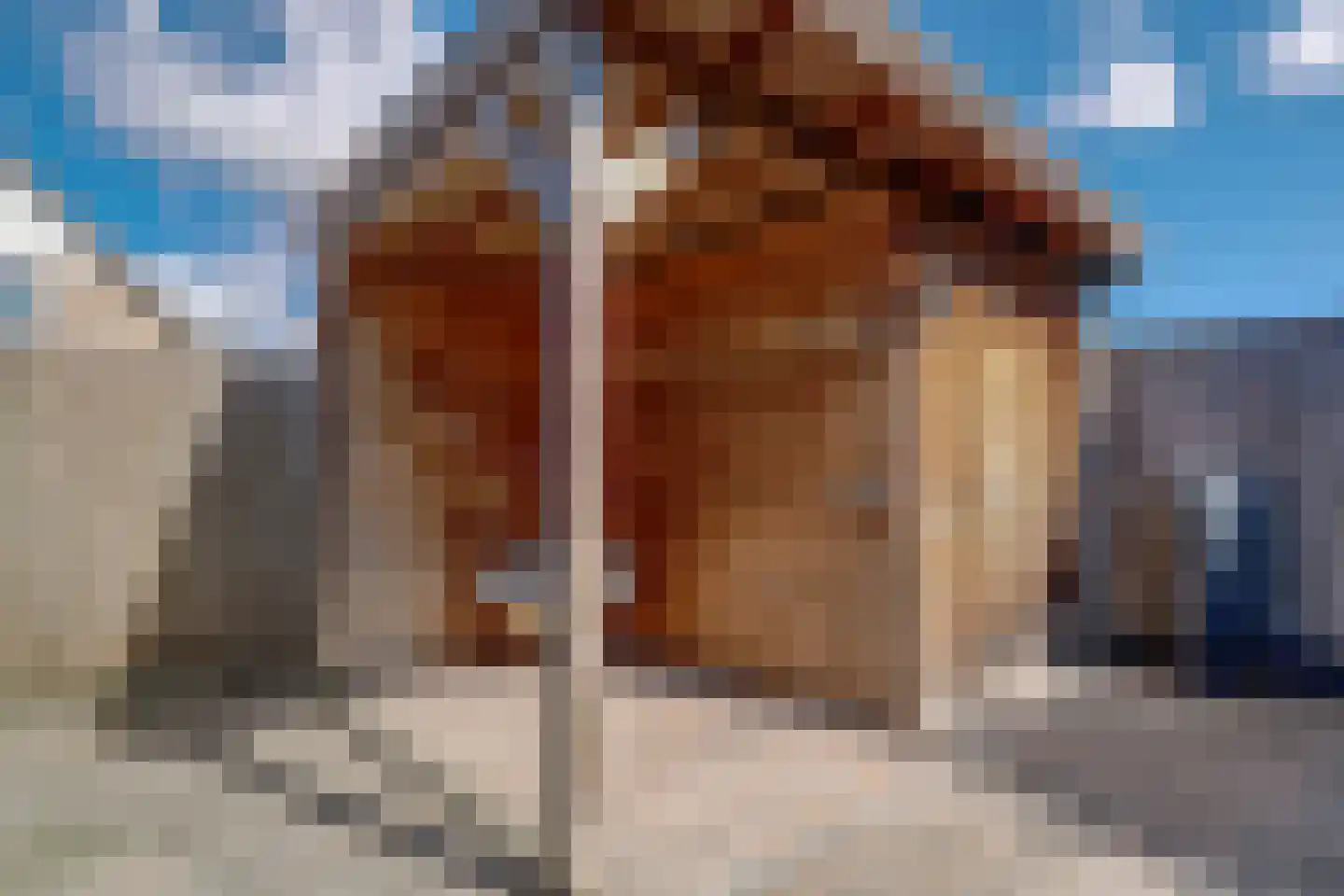 Florijn 86 Hoorn thumbnail 23