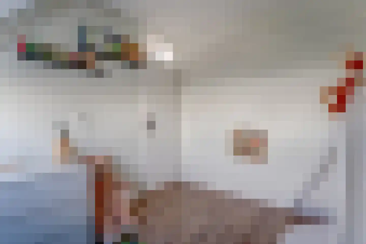 Florijn 86 Hoorn thumbnail 31