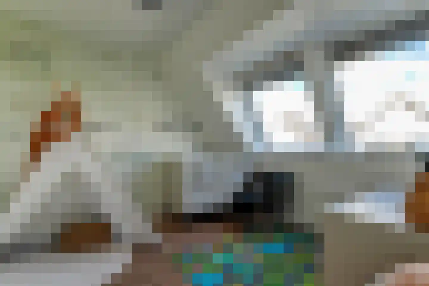 Florijn 86 Hoorn thumbnail 32