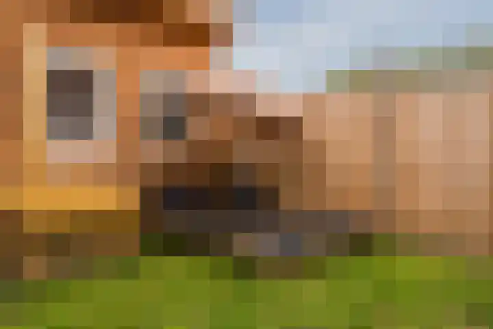 Florijnendreef 17 Cuijk thumbnail 28