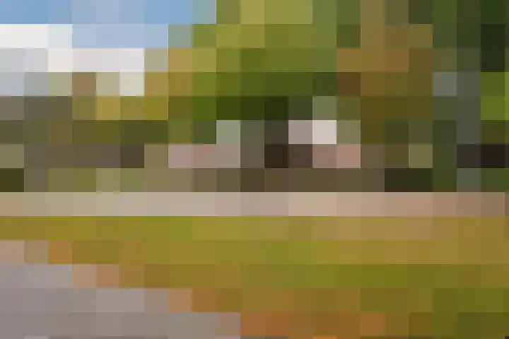 Florijnendreef 17 Cuijk thumbnail 33