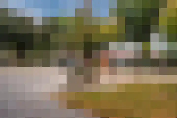 Florijnendreef 17 Cuijk thumbnail 34