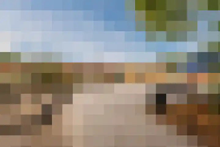 Florijnendreef 17 Cuijk thumbnail 35