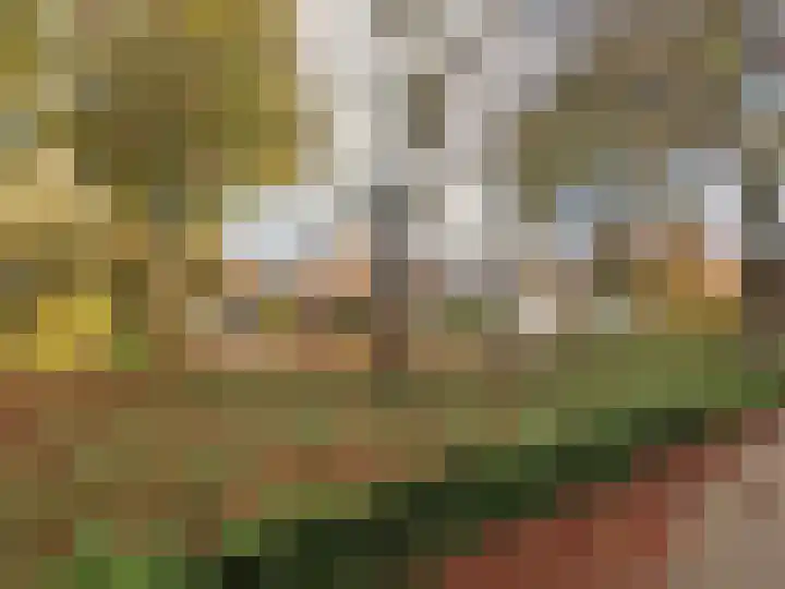 Florijnhof 21 Valkenswaard thumbnail 15