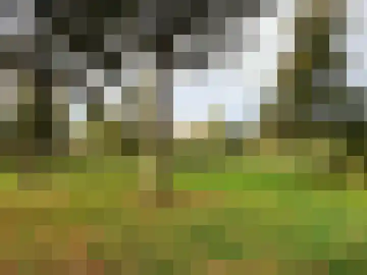 Florijnhof 21 Valkenswaard thumbnail 16