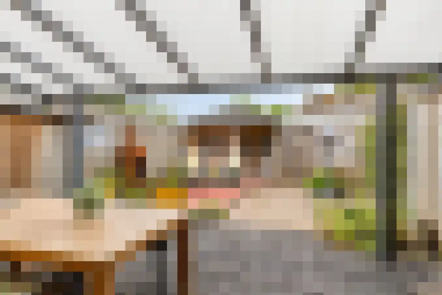 Florijnhof 23 Valkenswaard thumbnail 27