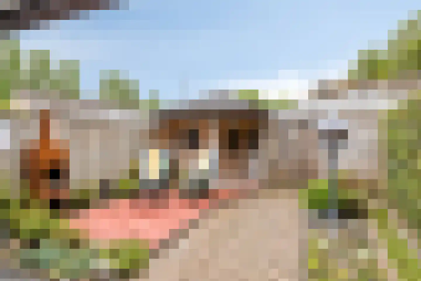Florijnhof 23 Valkenswaard thumbnail 28