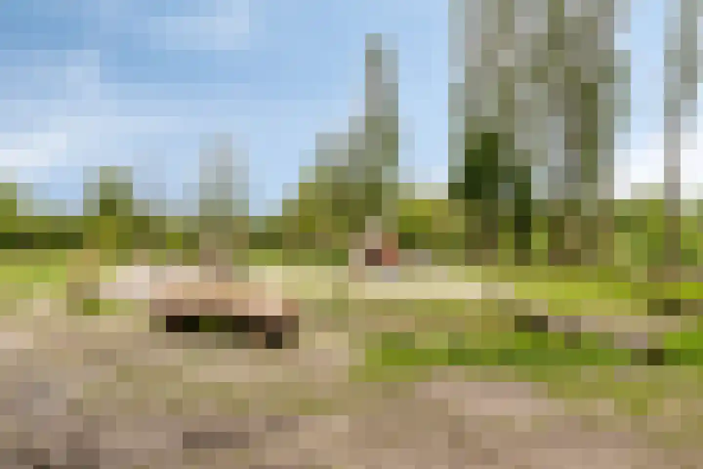 Florijnhof 23 Valkenswaard thumbnail 32