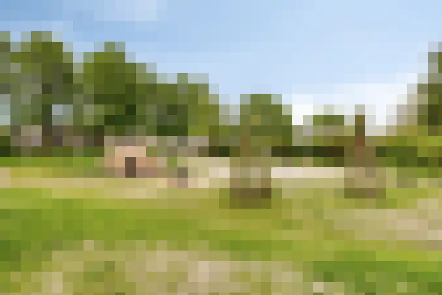 Florijnhof 23 Valkenswaard thumbnail 33