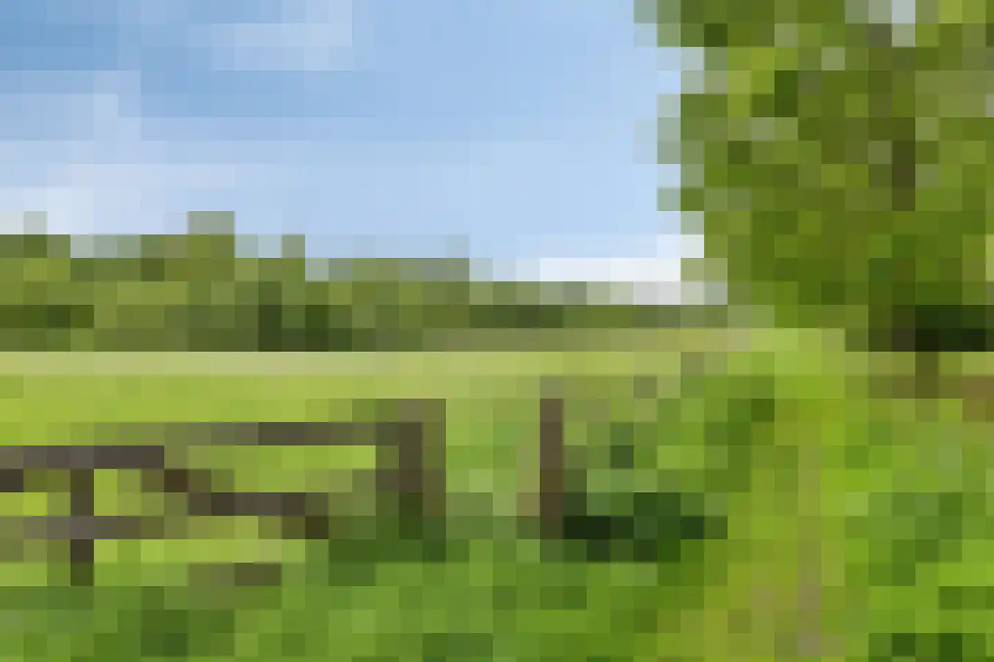 Florijnhof 23 Valkenswaard thumbnail 34