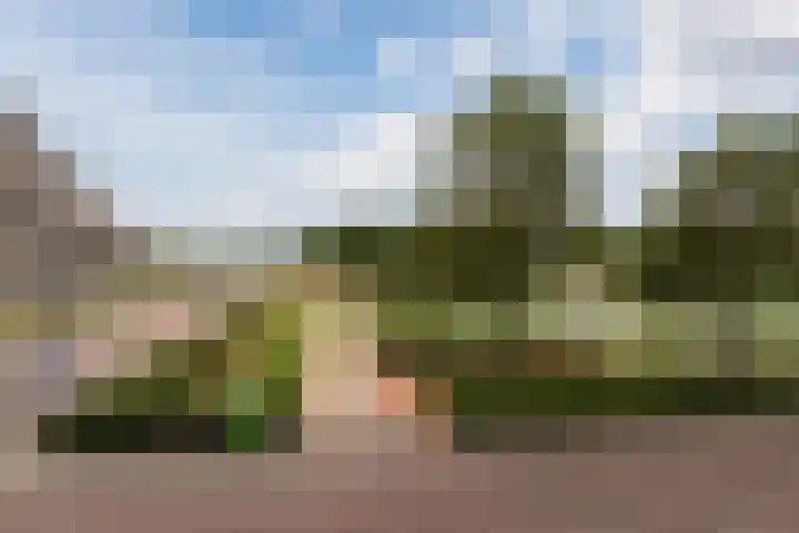 Florijnhof 61 Lelystad thumbnail 30