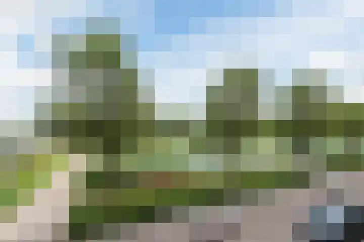 Florijnhof 63 Lelystad thumbnail 16