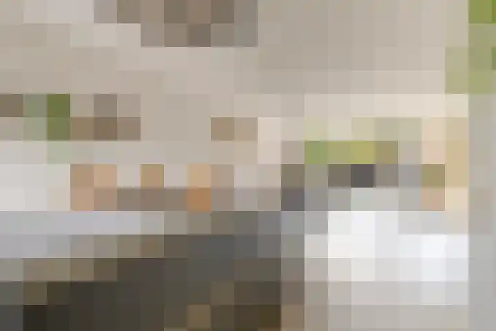 Florijnslag 62 Houten thumbnail 15