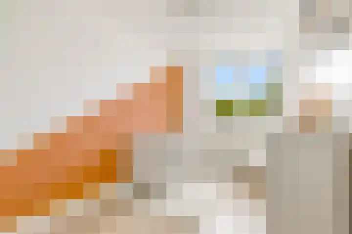 Florijnslag 62 Houten thumbnail 21