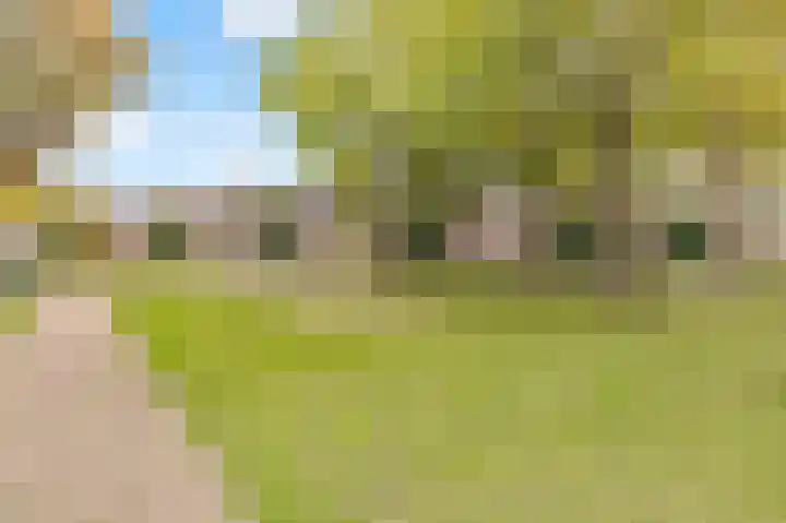 Florijnslag 62 Houten thumbnail 33