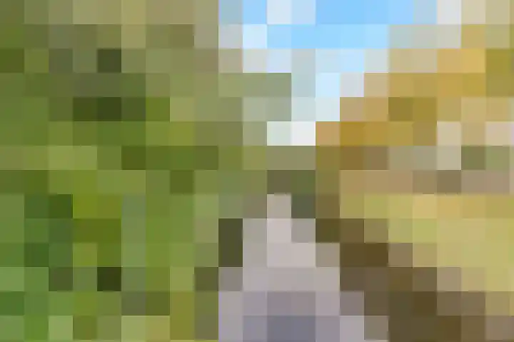 Florijnslag 62 Houten thumbnail 34