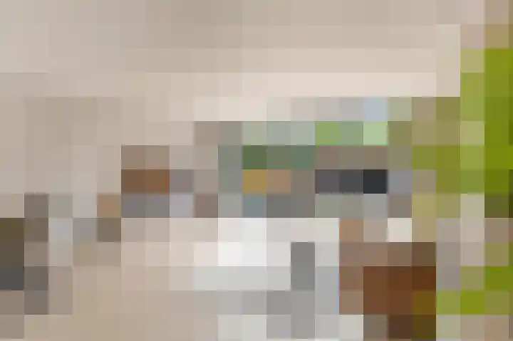 Florijnslag 62 Houten thumbnail 7