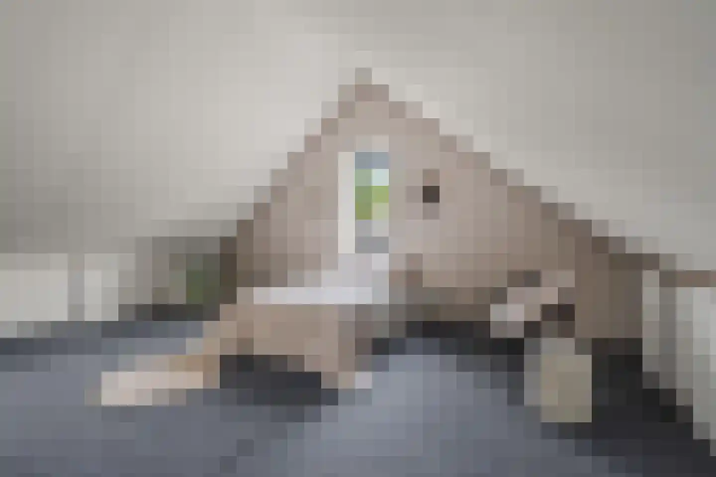 Florijnslag 64 Houten thumbnail 35