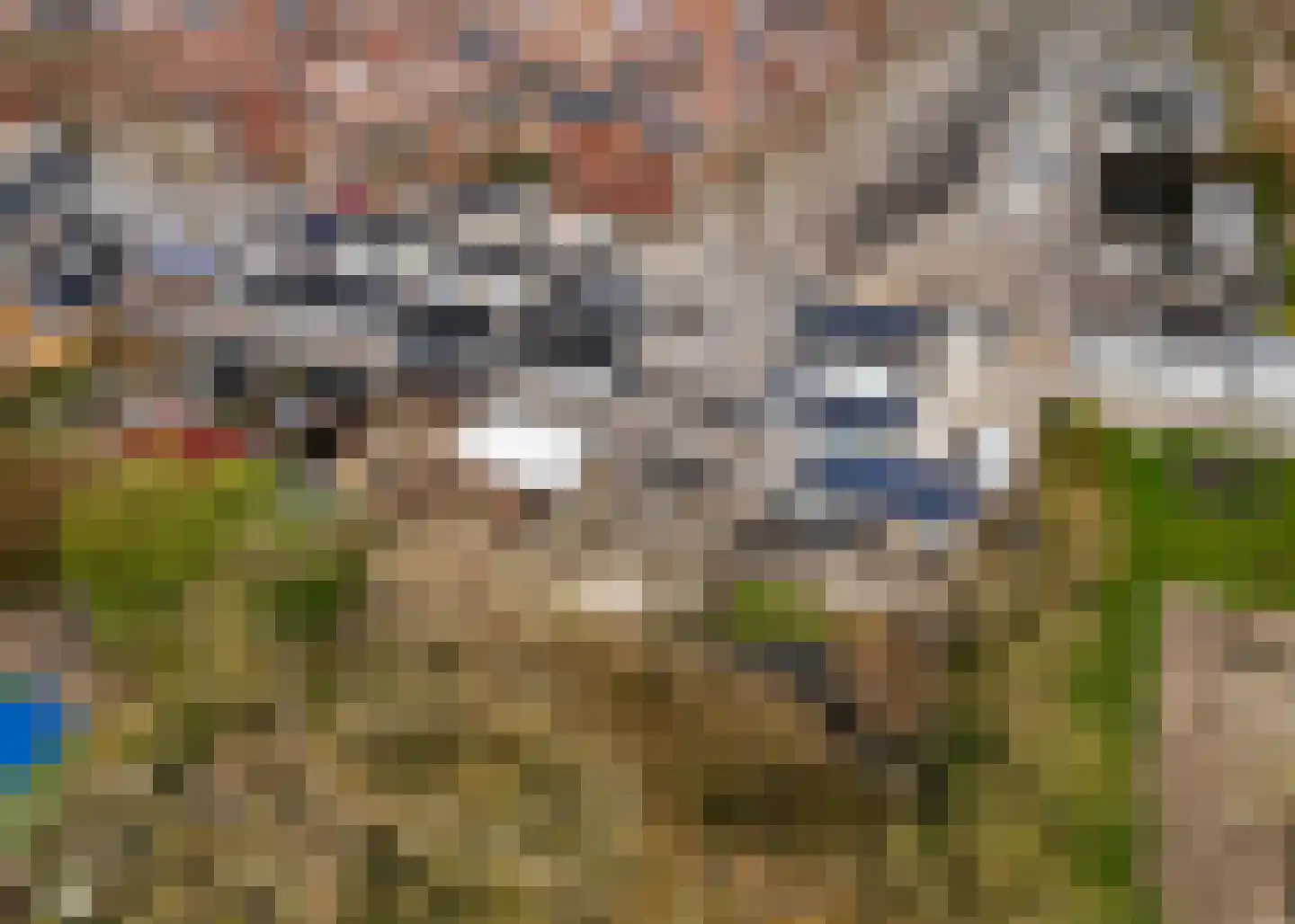 Florijnstraat 108 Alkmaar thumbnail 27