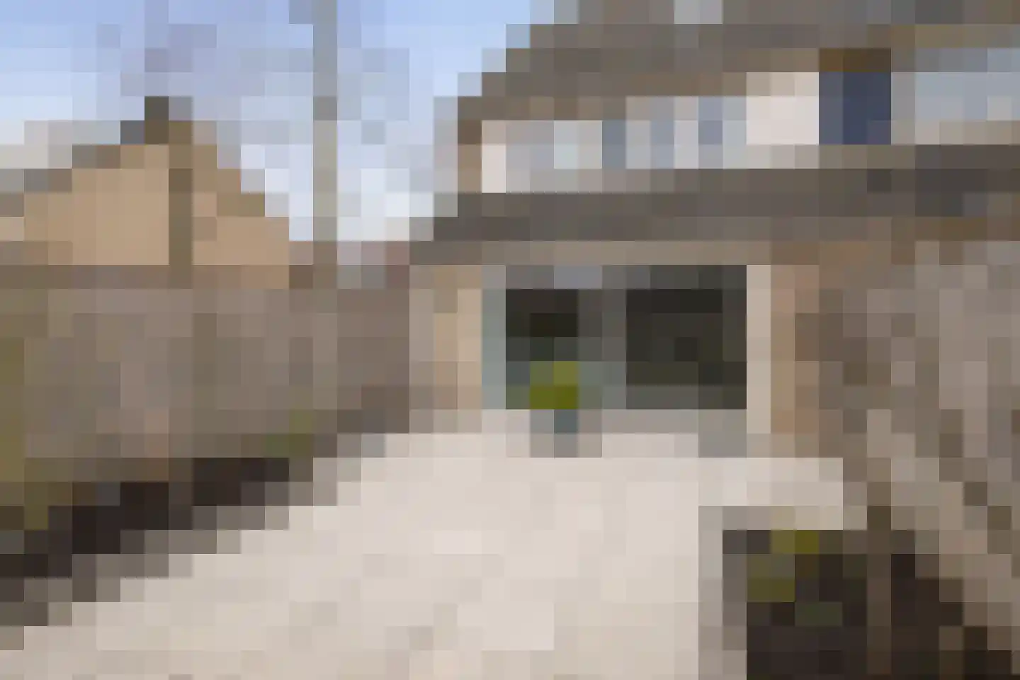Florijnstraat 2 Alkmaar thumbnail 22