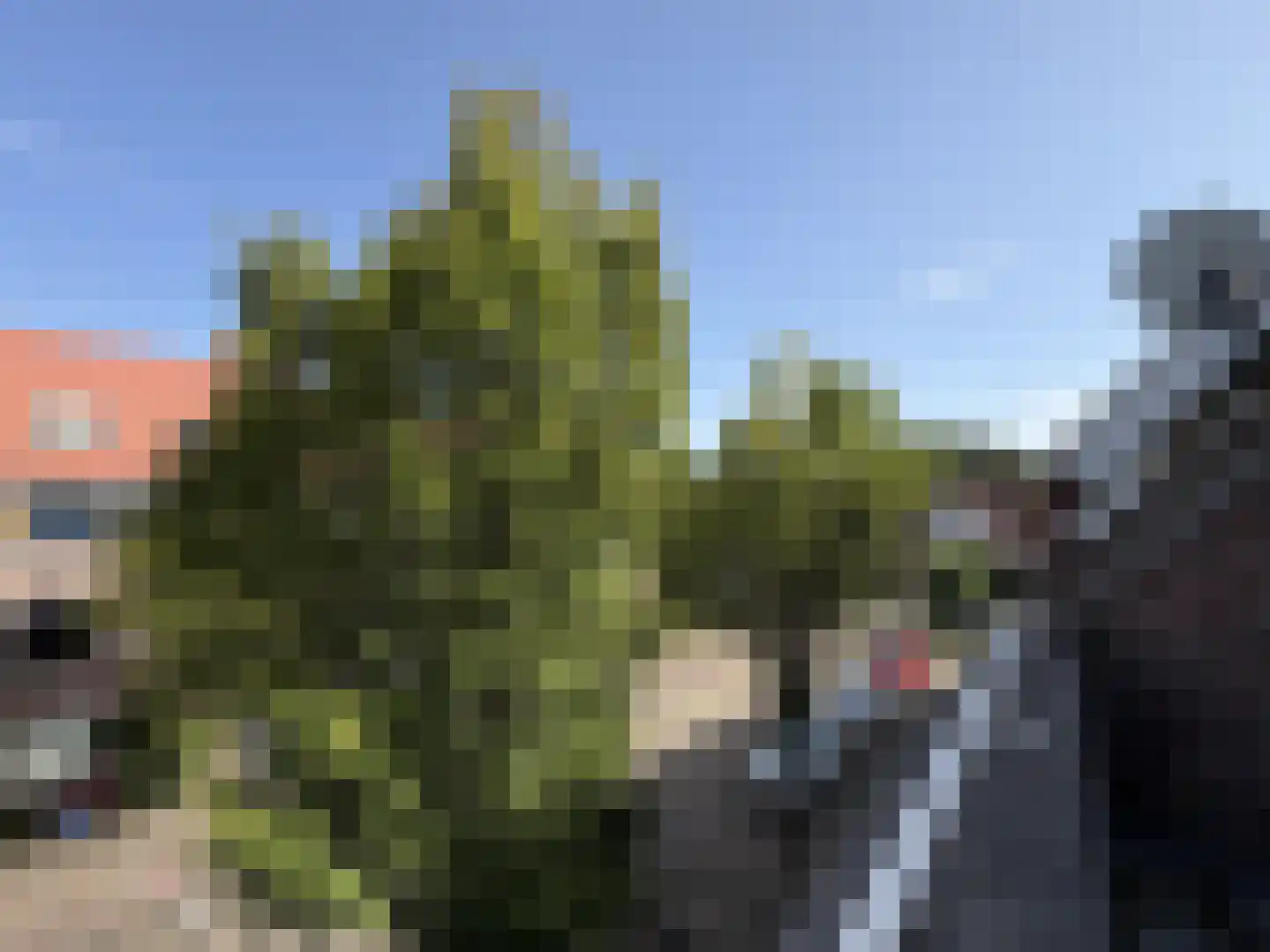 Florijnstraat 22 Nijmegen thumbnail 26