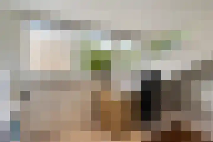 Florijnstraat 34 's-Hertogenbosch thumbnail 33
