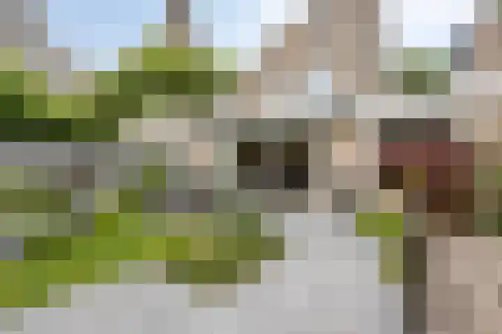 Florijnstraat 34 's-Hertogenbosch thumbnail 34