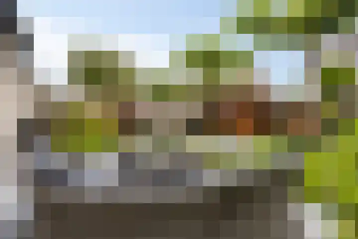 Florijnstraat 34 's-Hertogenbosch thumbnail 37
