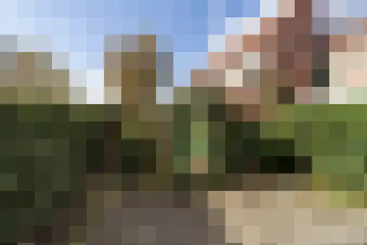 Florijnstraat 4 Nijmegen thumbnail 17
