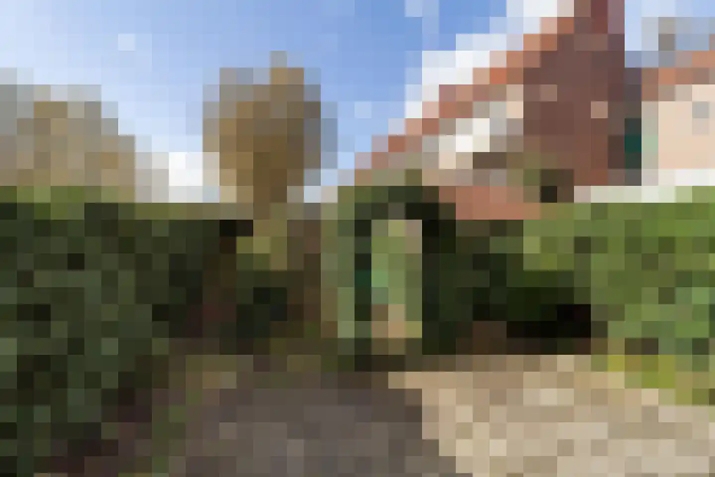 Florijnstraat 4 Nijmegen thumbnail 17