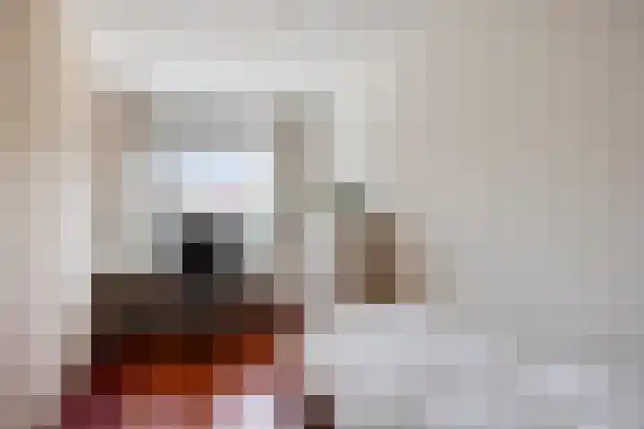 Florijnstraat 64 's-Hertogenbosch thumbnail 33