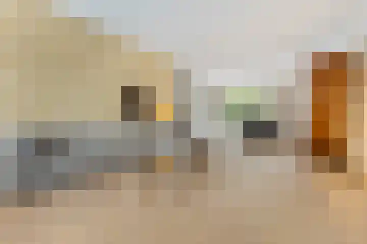 Florimont 10 's-Hertogenbosch thumbnail 11