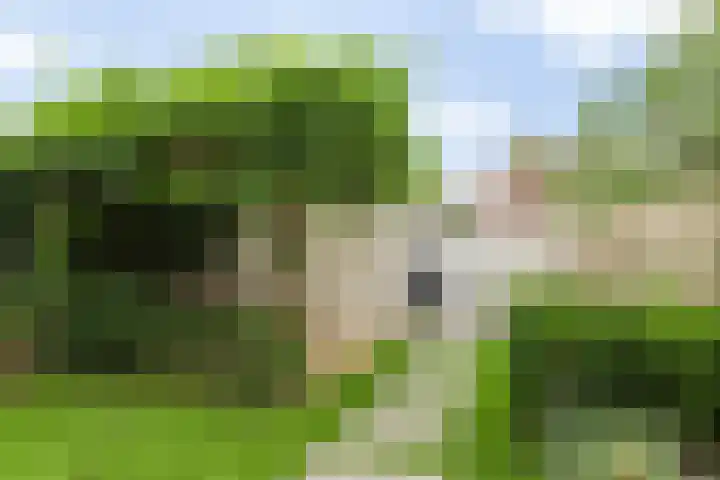 Florimont 10 's-Hertogenbosch thumbnail 21