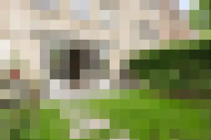 Florimont 10 's-Hertogenbosch thumbnail 22